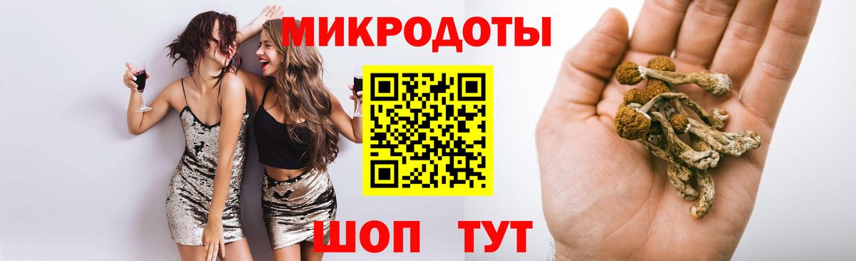Псилоцибиновые грибы мицелий  Вход с VPN  Псилоцибиновые грибы Magic Shrooms  где купить   Новокуйбышевск 